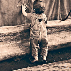 电话短信轰在线轰炸免费